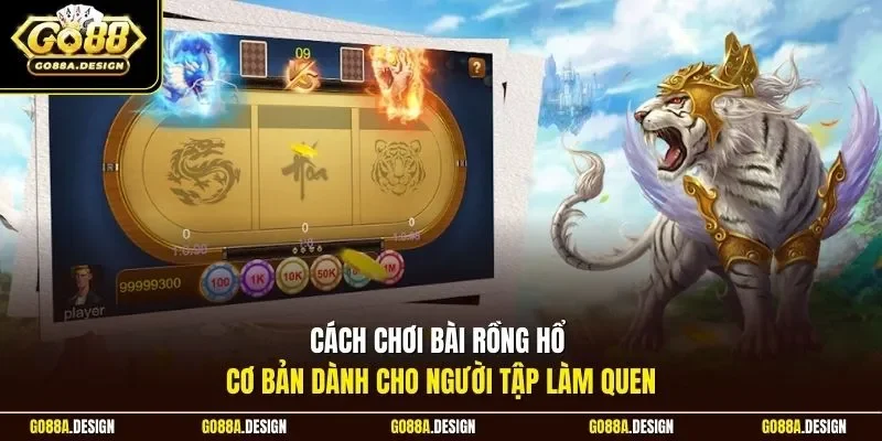 cach-choi-bai-rong-ho-co-ban-danh-cho-nguoi-tap-lam-quen