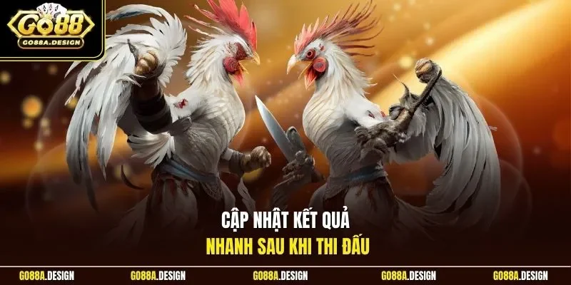 cap-nhat-ket-qua-nhanh-sau-khi-thi-dau