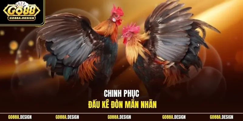 chinh-phuc-dau-ke-don-man-nhan