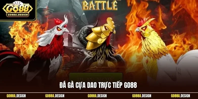 da-ga-cua-dao-truc-tiep-go88