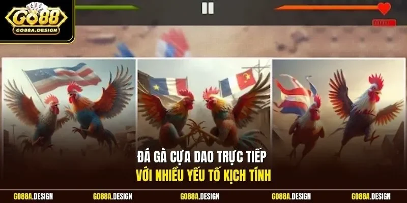 da-ga-cua-dao-truc-tiep-voi-nhieu-yeu-to-kich-tinh