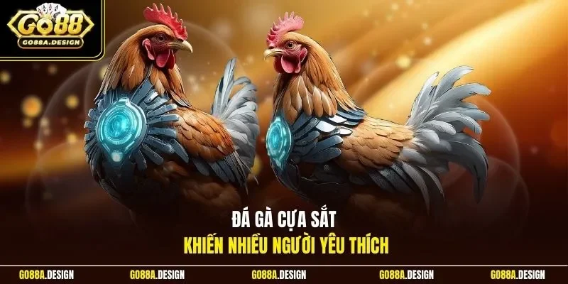 da-ga-cua-sat-khien-nhieu-nguoi-yeu-thich