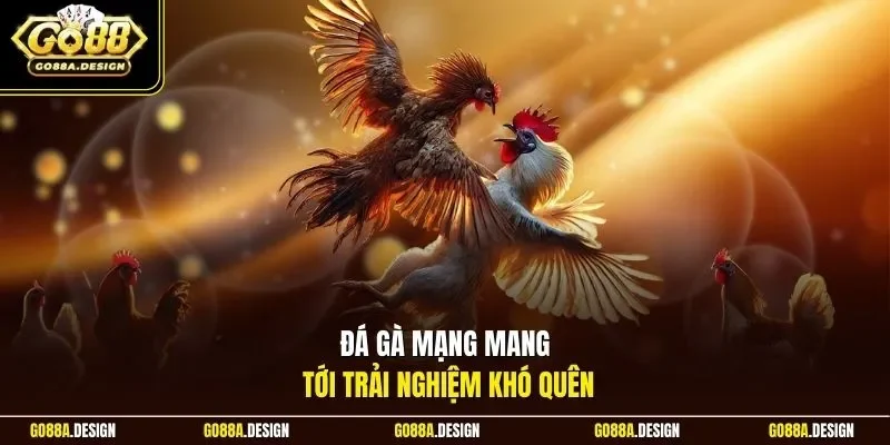 da-ga-mang-mang-toi-trai-nghiem-kho-quen