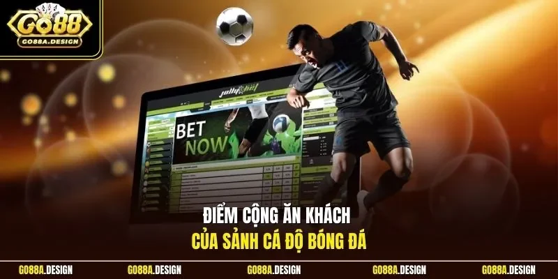 diem-cong-an-khach-cua-sanh-ca-do-bong-da