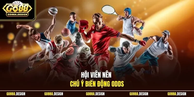 hoi-vien-nen-chu-y-bien-dong-odds