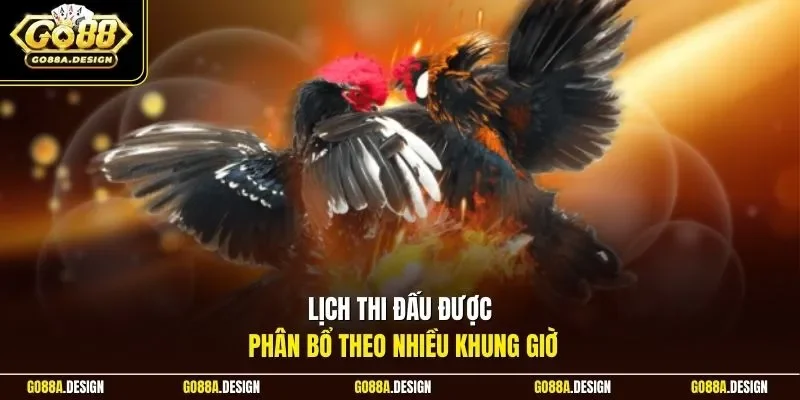 lich-thi-dau-duoc-phan-bo-theo-nhieu-khung-gio