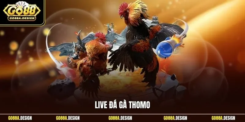 live-da-ga-thomo