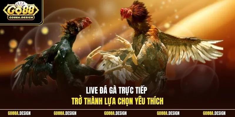 live-da-ga-truc-tiep-tro-thanh-lua-chon-yeu-thich