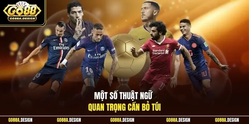 mot-so-thuat-ngu-quan-trong-can-bo-tui