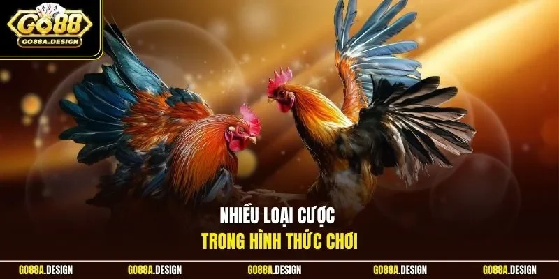 nhieu-loai-cuoc-trong-hinh-thuc-choi