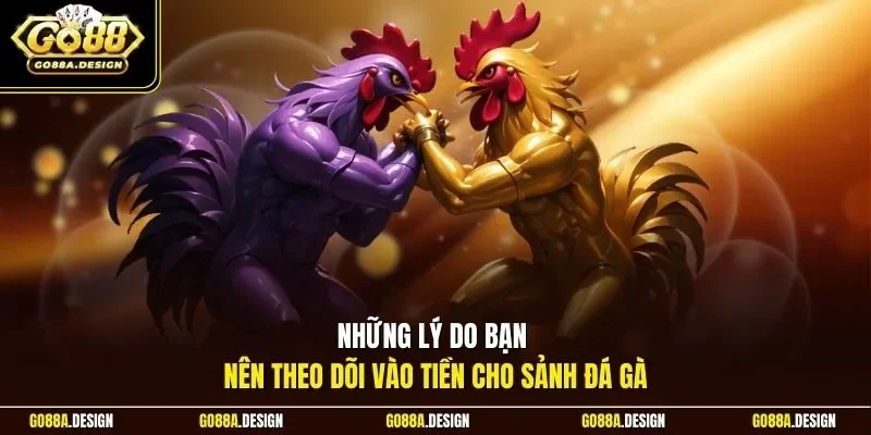 nhung-ly-do-ban-nen-theo-doi-vao-tien-cho-sanh-da-ga