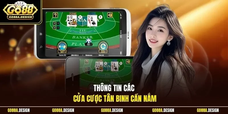 thong-tin-cac-cua-cuoc-tan-binh-can-nam