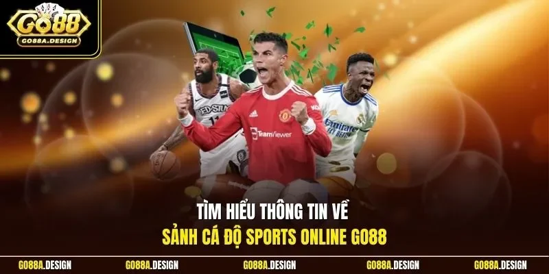 tim-hieu-thong-tin-ve-sanh-ca-do-sports-online-go88