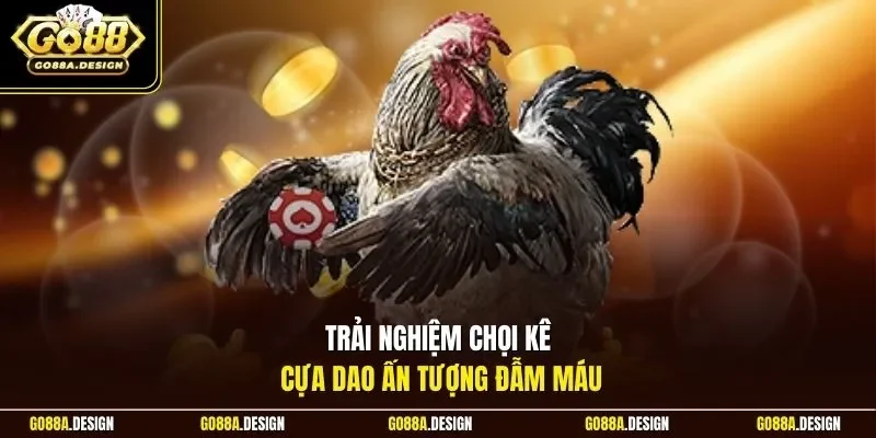 trai-nghiem-choi-ke-cua-dao-an-tuong-dam-mau