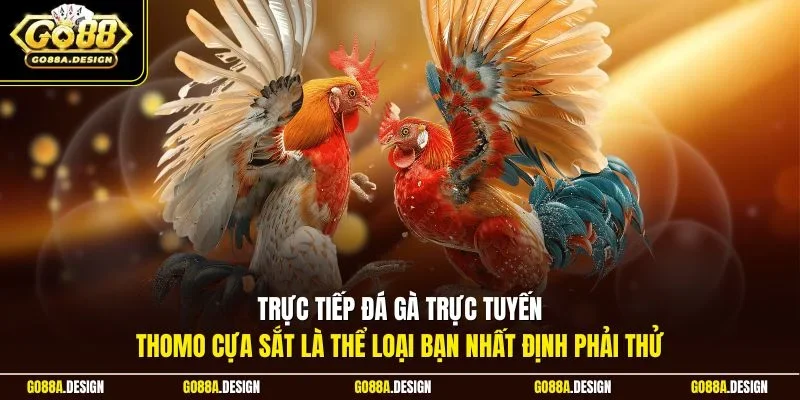truc-tiep-da-ga-truc-tuyen-thomo-cua-sat-la-the-loai-ban-nhat-dinh-phai-thu